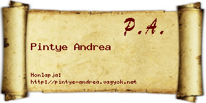 Pintye Andrea névjegykártya